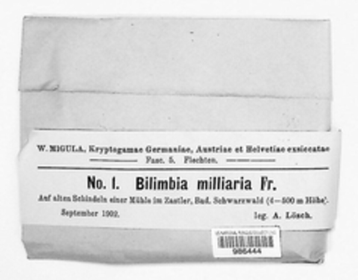 Bilimbia milliaria image